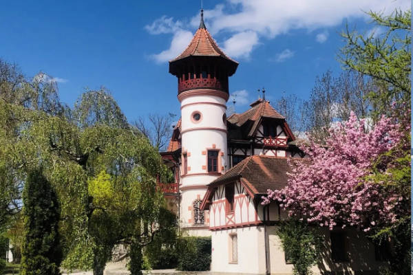 Kulturlandschaft Ammersee - Vorträge & Ausstellungen