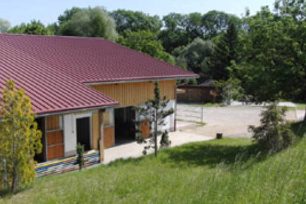 Freizeitreiten & Ponyreiten